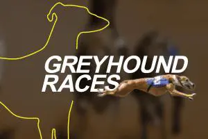 vDogs (Grayhound races) - Spin City - Congo